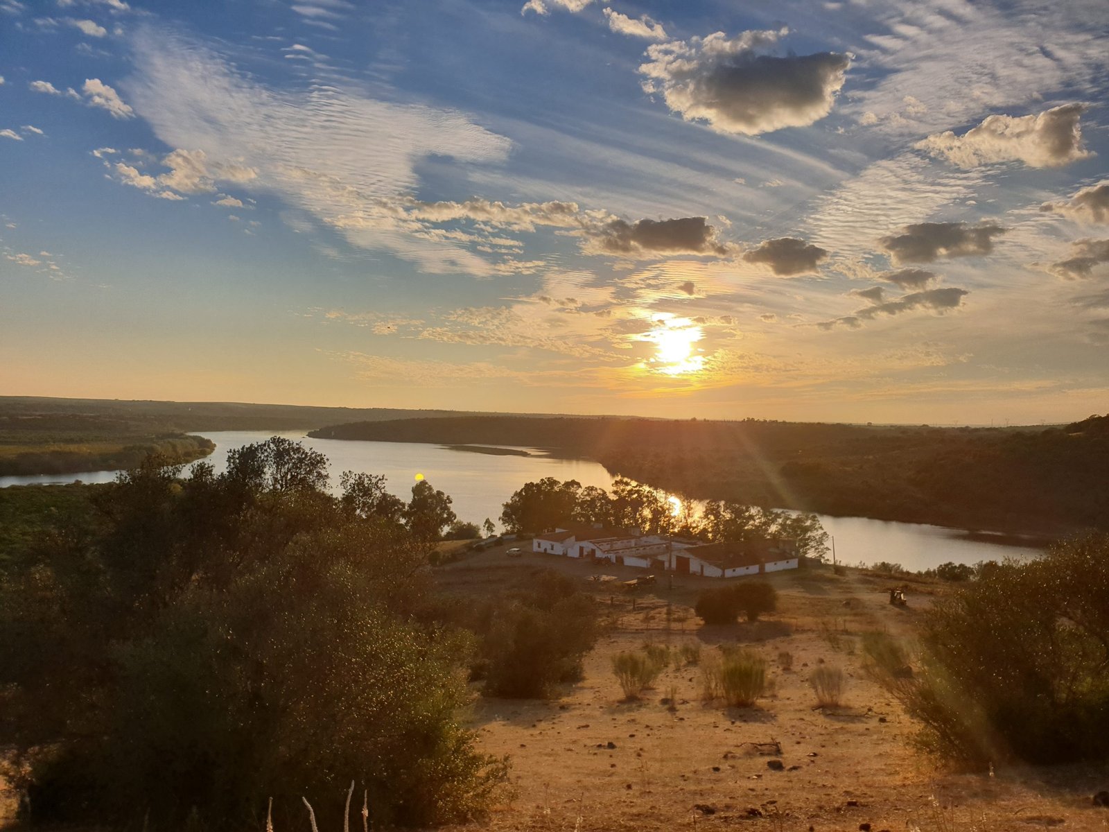Aerial view of the estate