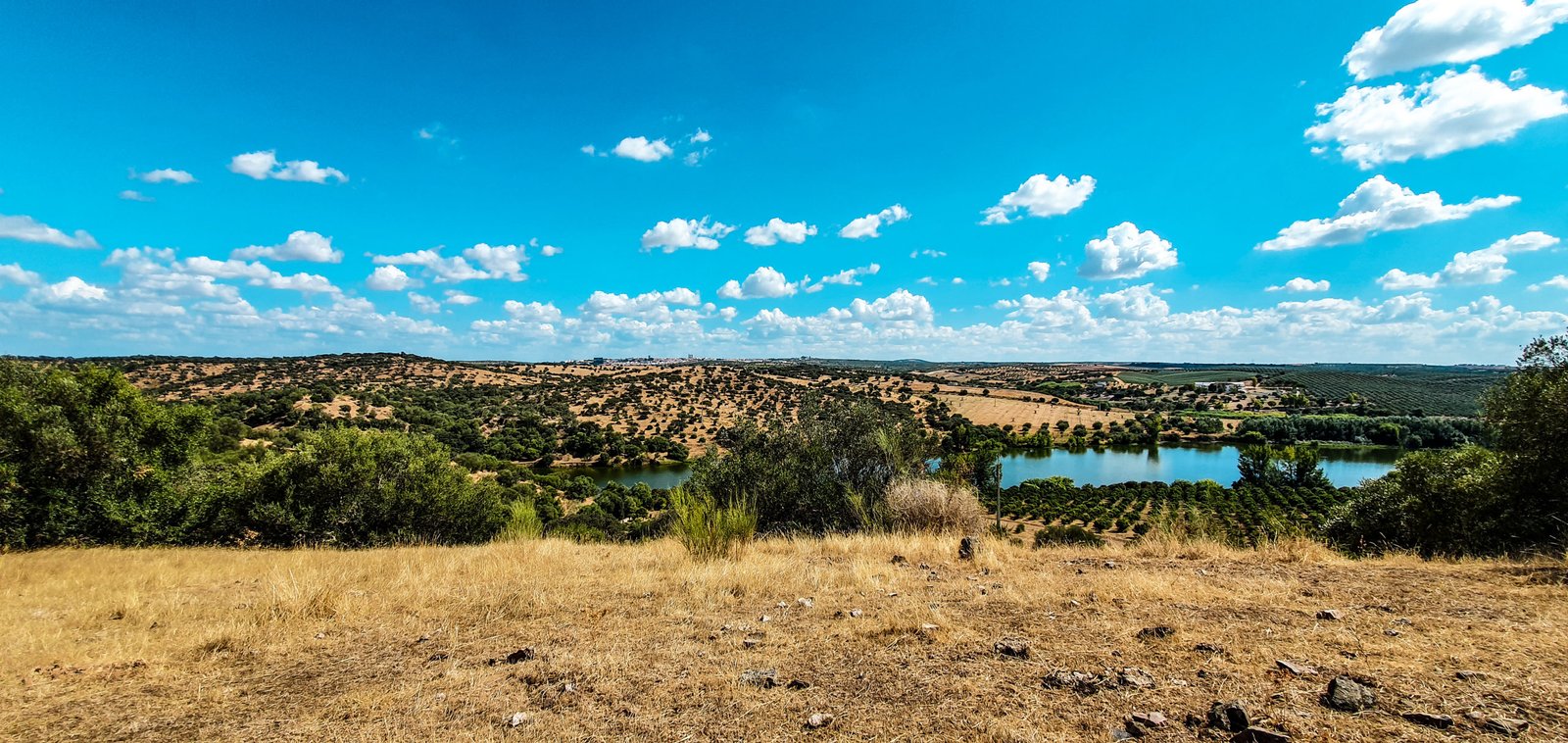Steppe habitat for birdwatching