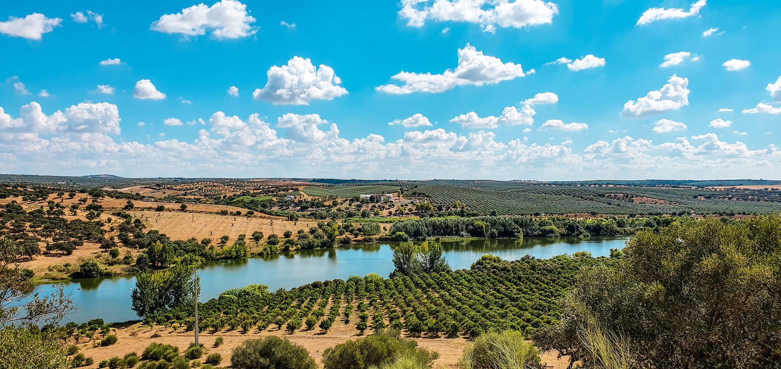 Galeria: Natureza e paisagem verde