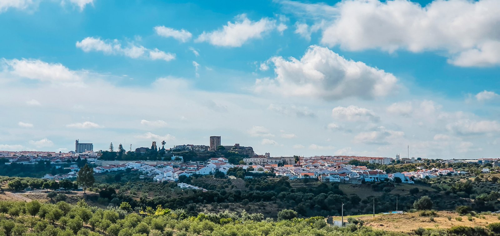 Observation point on the estate